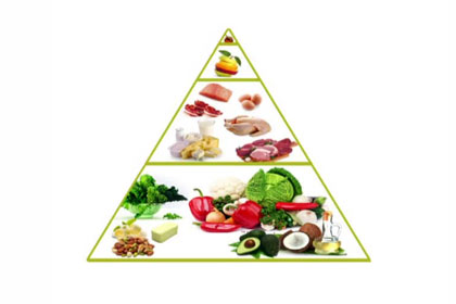 Ketogenic Diet